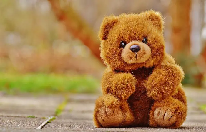 The Spongy Bear That Brings Endless Joy!