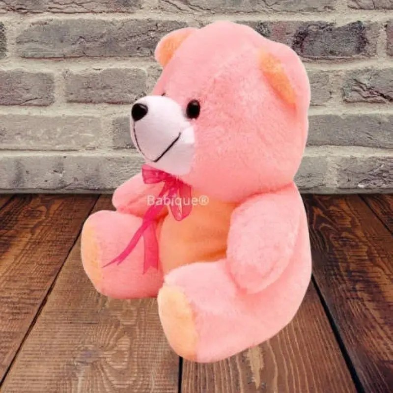 Soft Teddy Bear